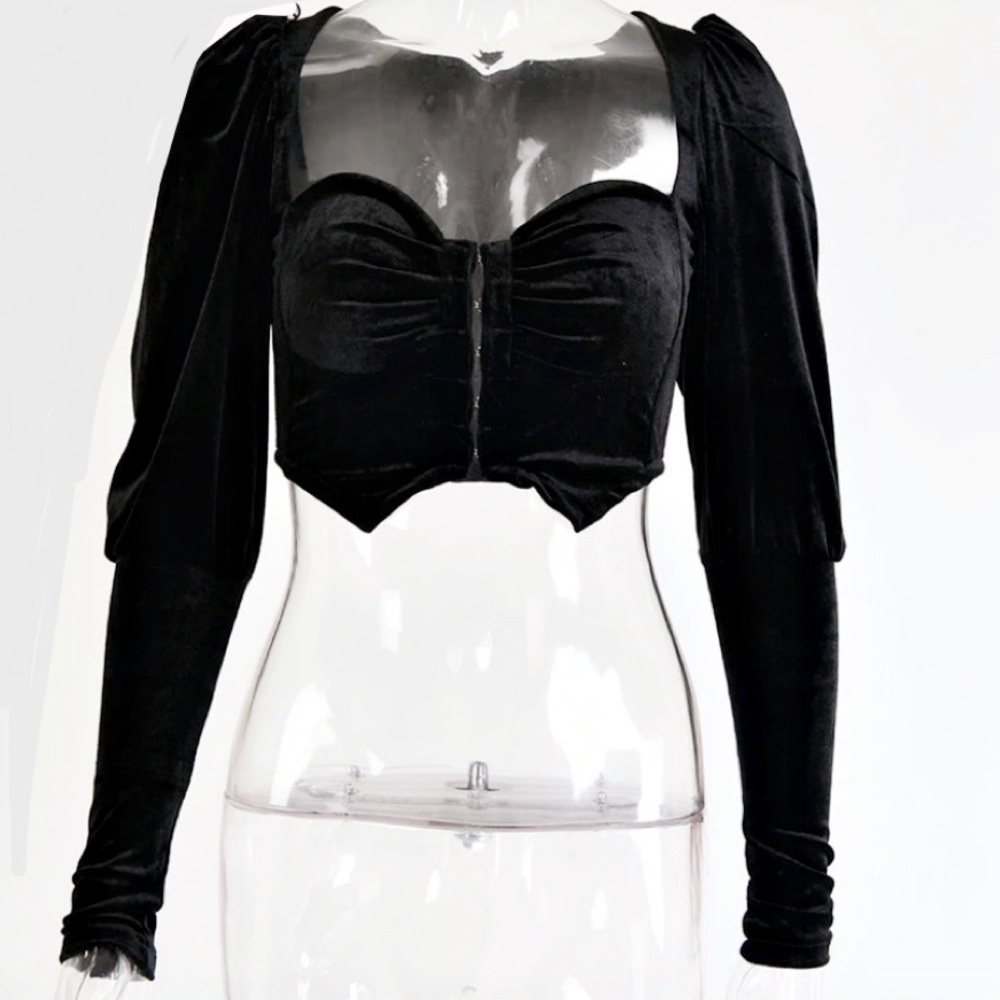 Long sleeve faux velvet gothic cropped top